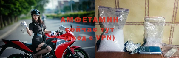 ГАЛЛЮЦИНОГЕННЫЕ ГРИБЫ Вязники