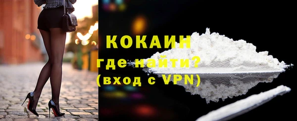 индика Горно-Алтайск