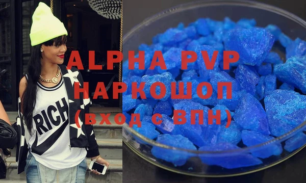 индика Горно-Алтайск