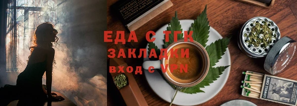 индика Горно-Алтайск