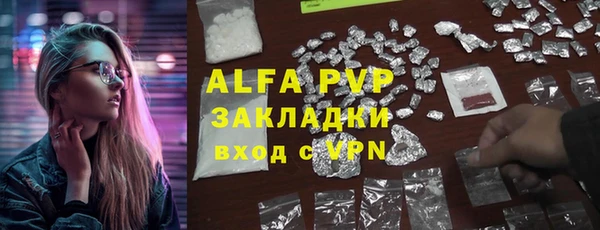 хмурый Вяземский