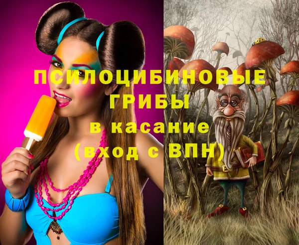 ГАЛЛЮЦИНОГЕННЫЕ ГРИБЫ Вязники