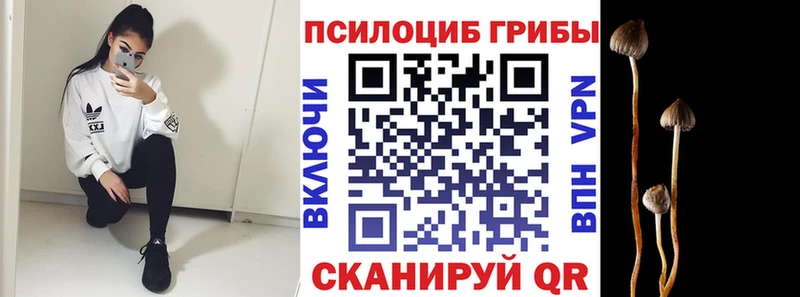 Псилоцибиновые грибы GOLDEN TEACHER  где купить наркоту  Ефремов 